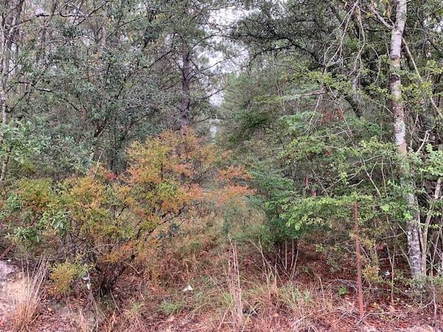 C-1 Highway 445 Highway, Robert, Louisiana image 6