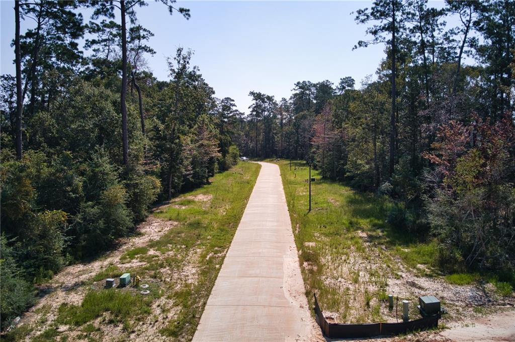 1753 Ox Bow Lane, Covington, Louisiana image 3