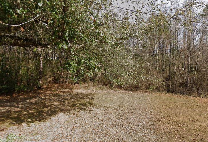 1.49 Acres Vacant Land Robert Blow Road, Ponchatoula, Louisiana image 1