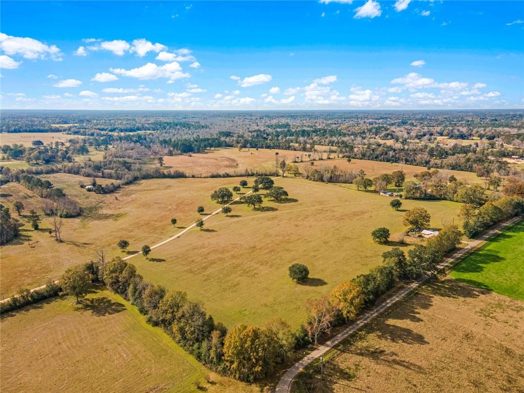 227.5 Acres Old Military (hwy 1082) Road, Bush, Louisiana image 10