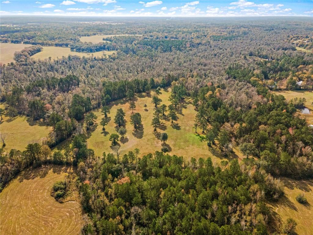 227.5 Acres Old Military (hwy 1082) Road, Bush, Louisiana image 11