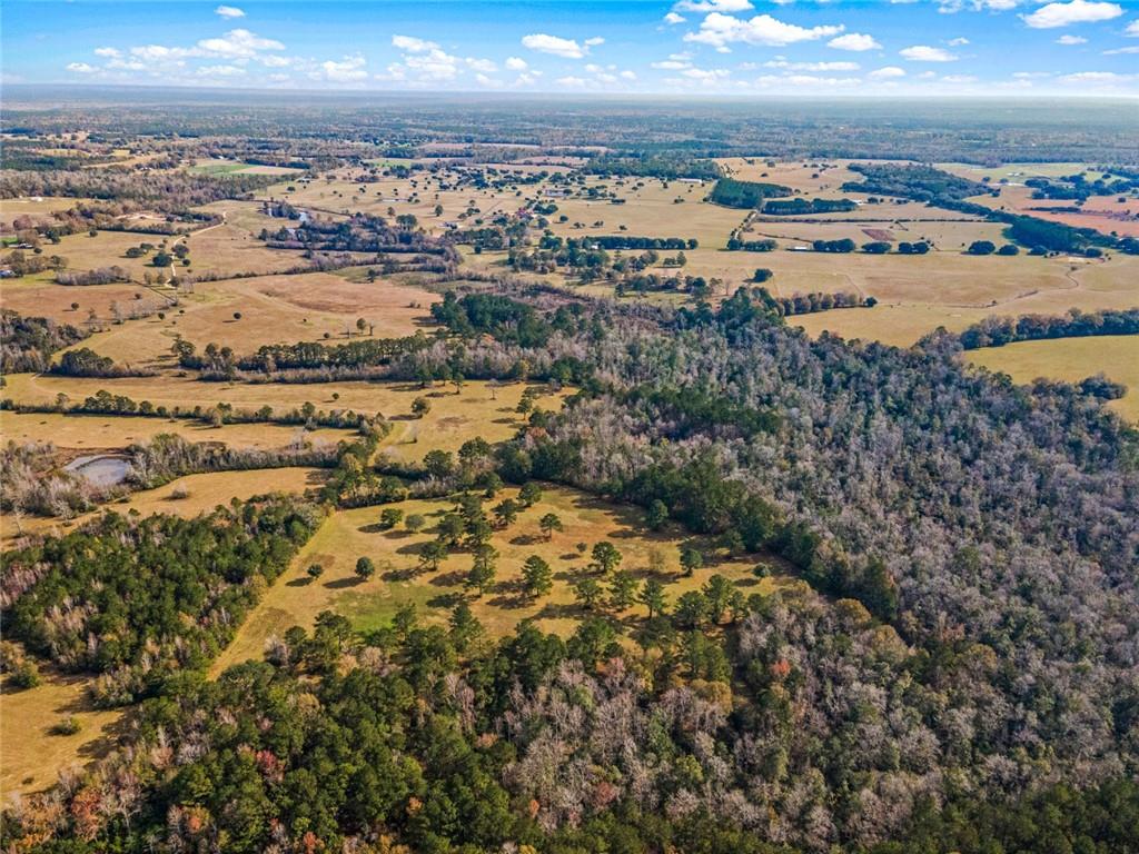 227.5 Acres Old Military (hwy 1082) Road, Bush, Louisiana image 12