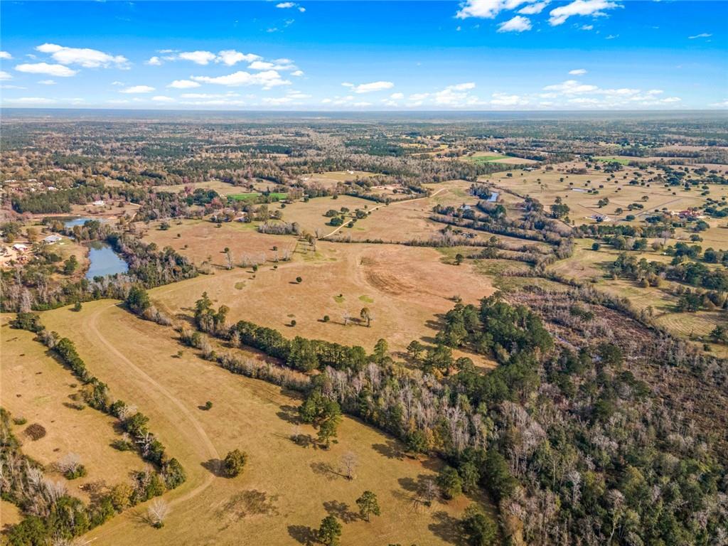 227.5 Acres Old Military (hwy 1082) Road, Bush, Louisiana image 14