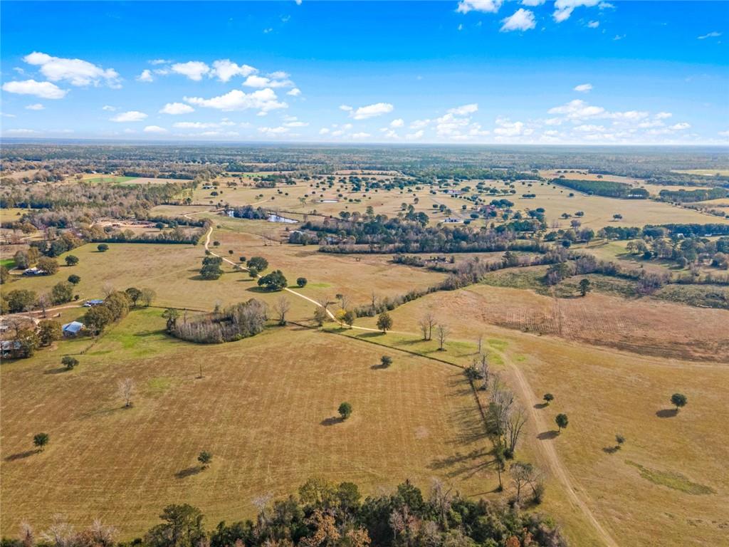 227.5 Acres Old Military (hwy 1082) Road, Bush, Louisiana image 16