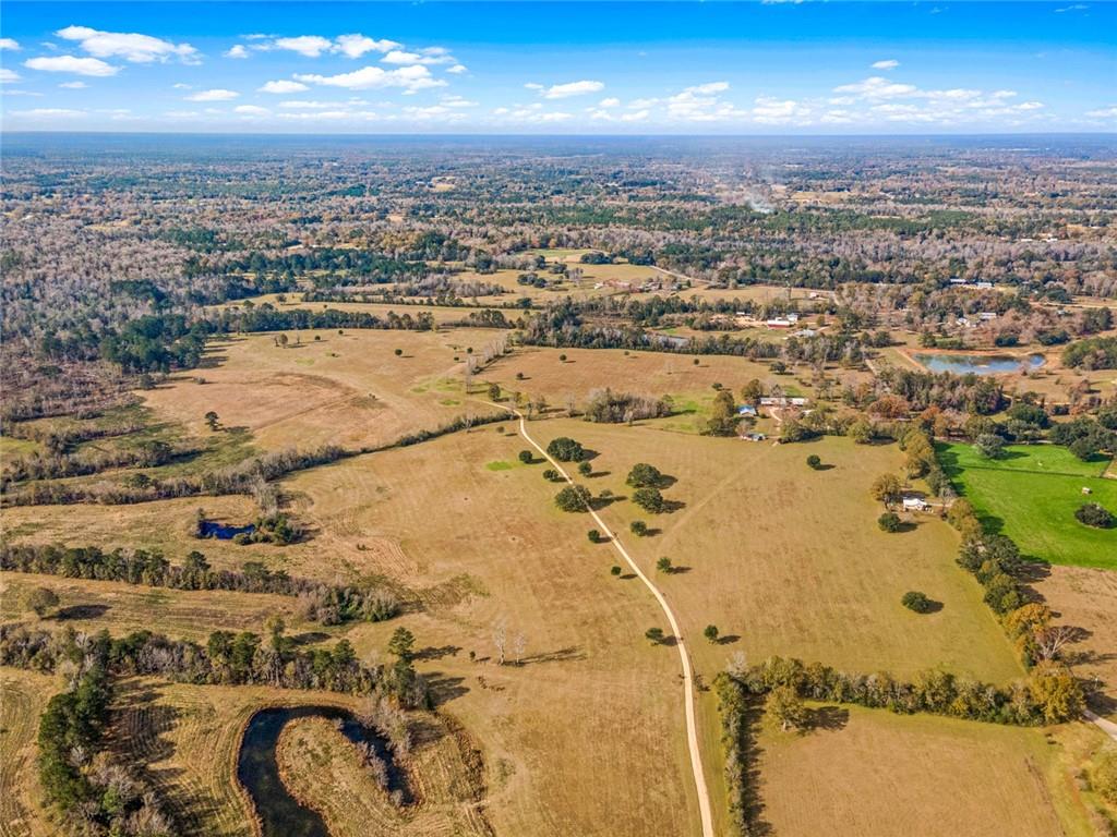 227.5 Acres Old Military (hwy 1082) Road, Bush, Louisiana image 2