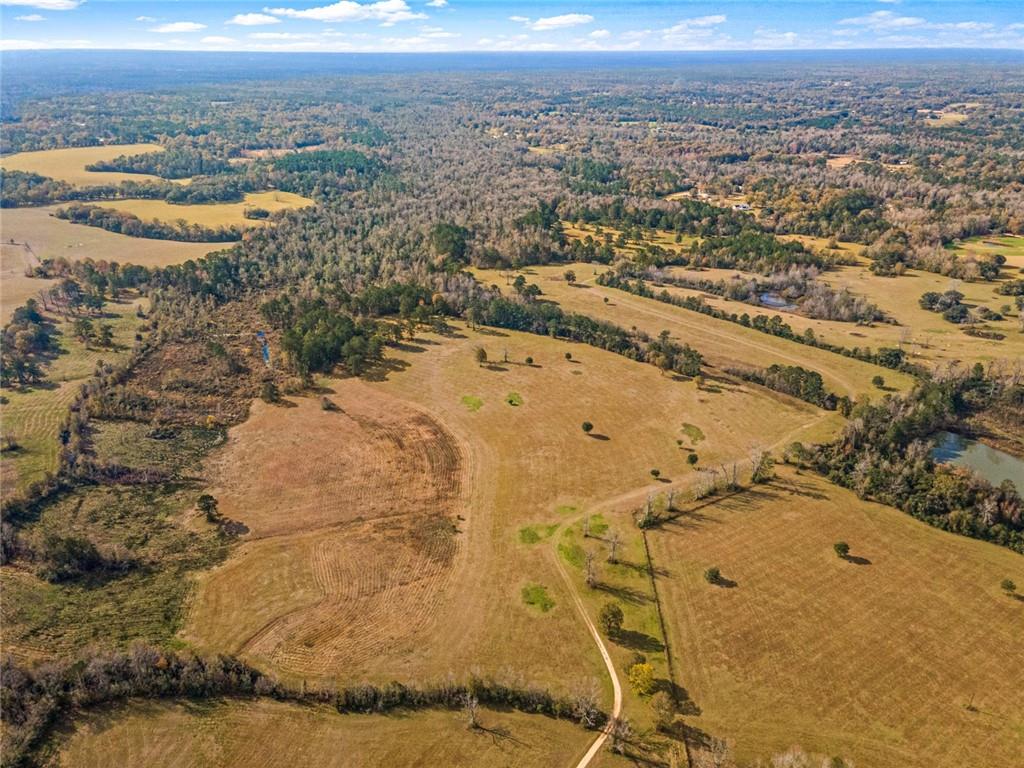 227.5 Acres Old Military (hwy 1082) Road, Bush, Louisiana image 6