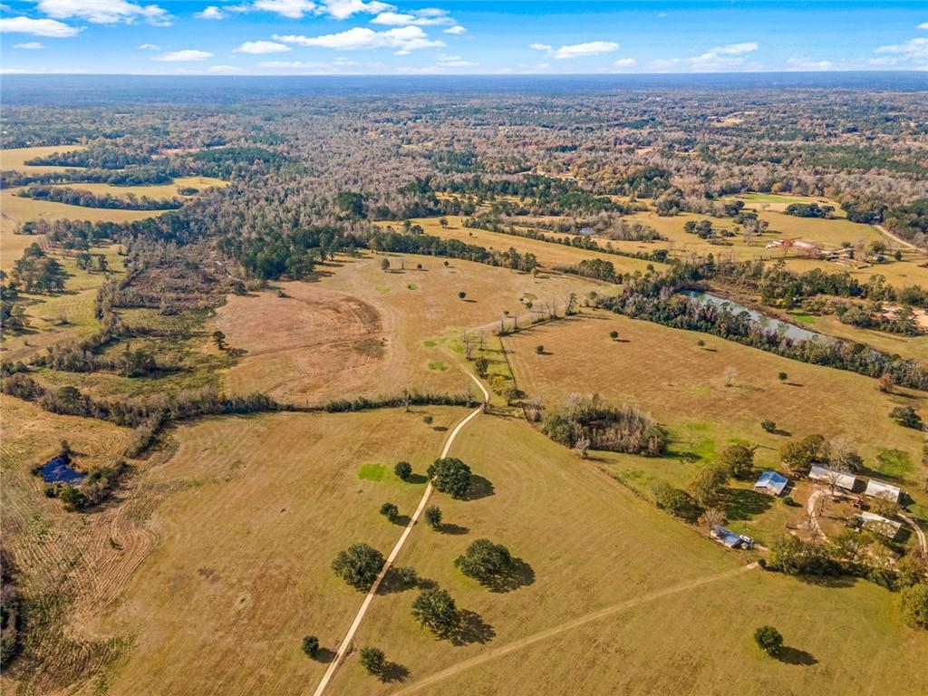 227.5 Acres Old Military (hwy 1082) Road, Bush, Louisiana image 7