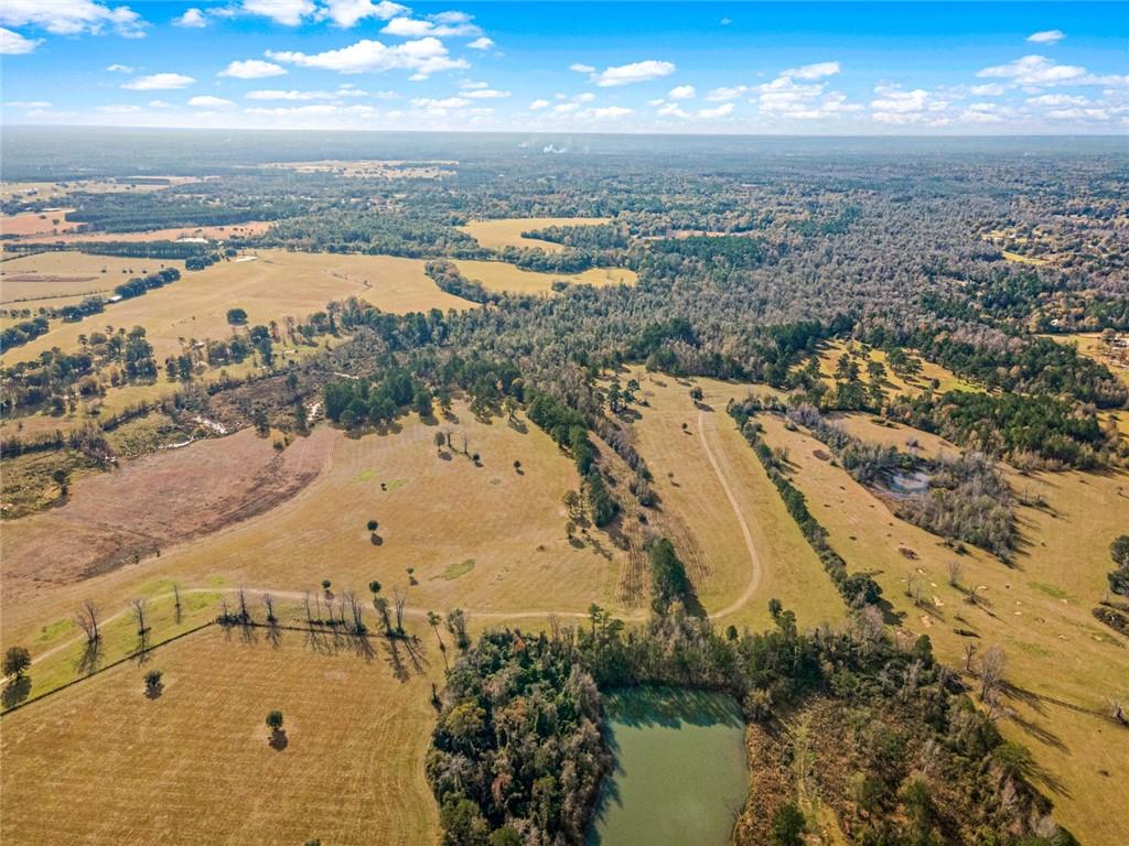 227.5 Acres Old Military (hwy 1082) Road, Bush, Louisiana image 8