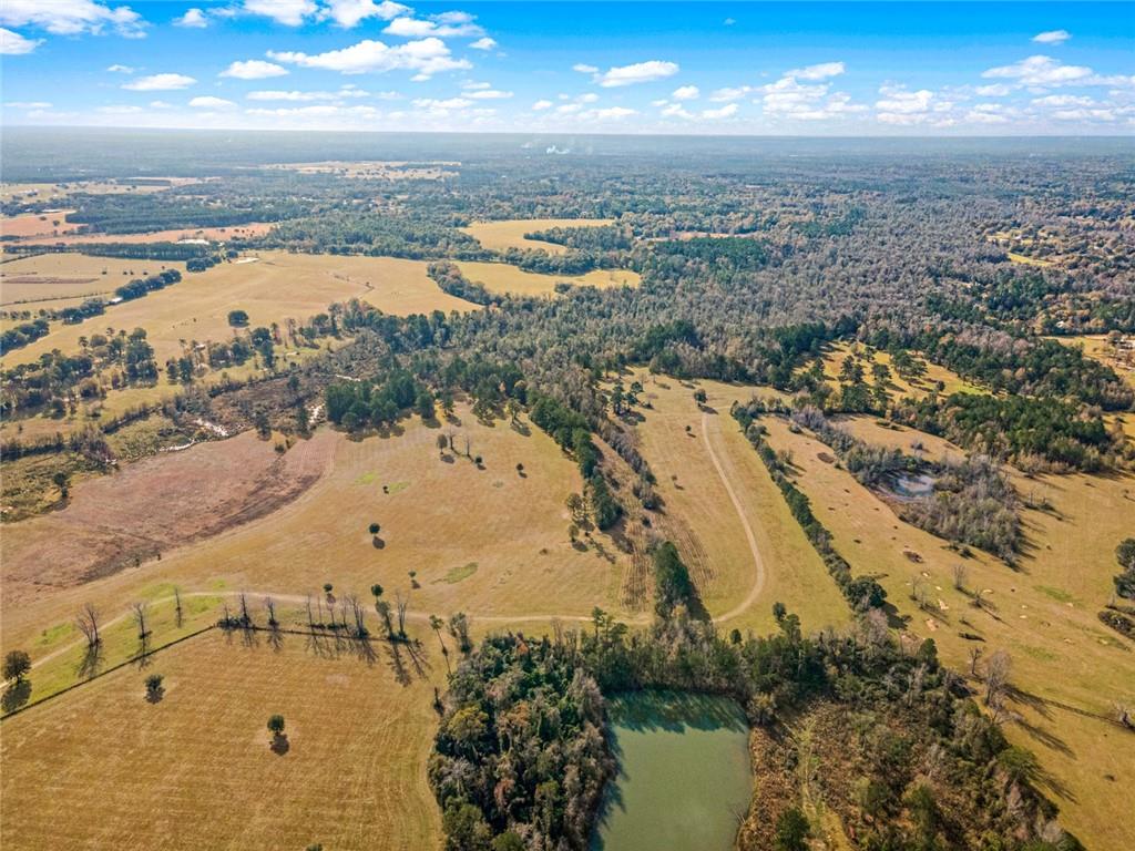 227.5 Acres Old Military (hwy 1082) Road, Bush, Louisiana image 8