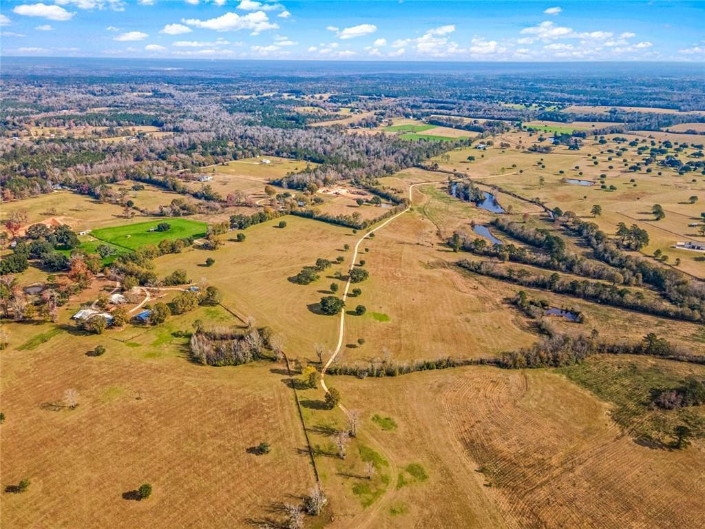 227.5 Acres Old Military (hwy 1082) Road, Bush, Louisiana image 9