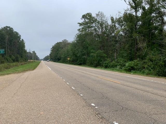 Highway 190 Highway, Robert, Louisiana image 2