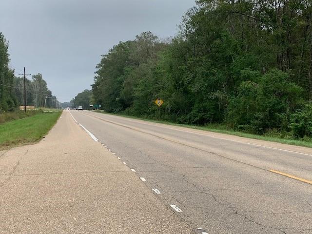 Highway 190 Highway, Robert, Louisiana image 3