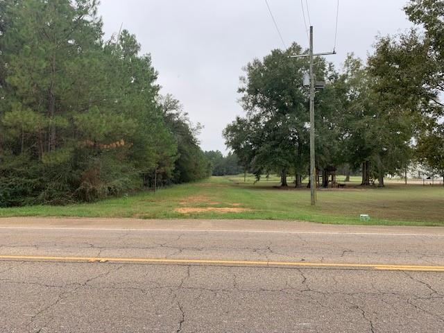 Highway 190 Highway, Robert, Louisiana image 4