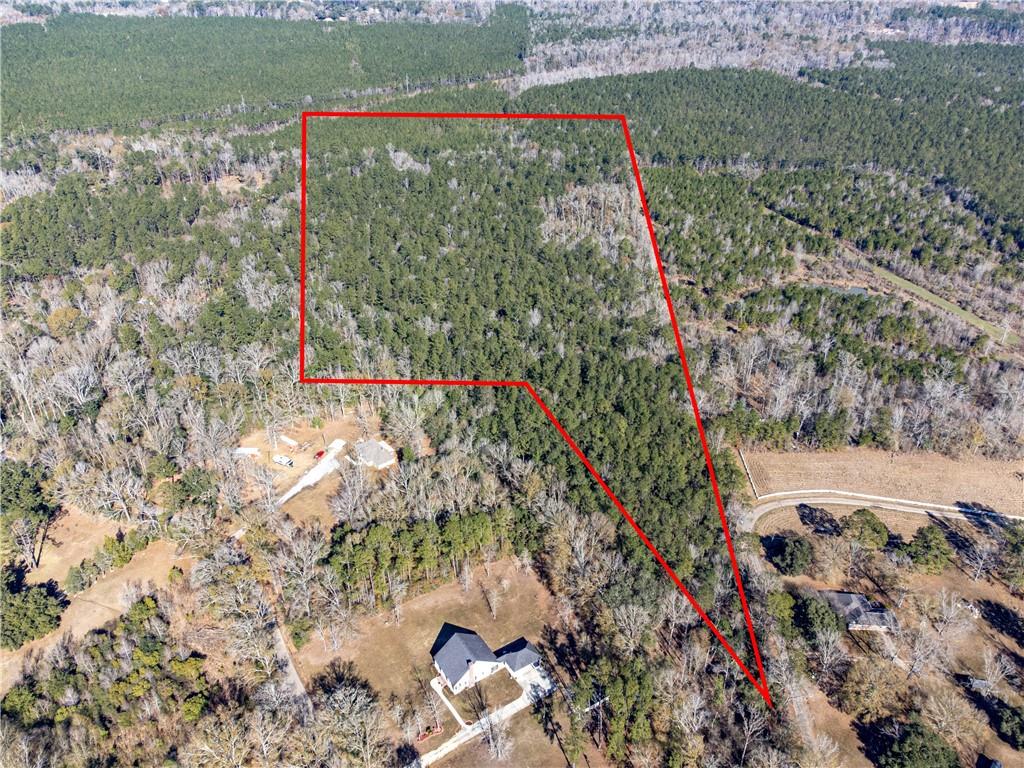 28.44 Ac John Mckigney Road, Springfield, Louisiana image 1