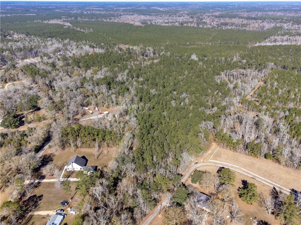 28.44 Ac John Mckigney Road, Springfield, Louisiana image 10