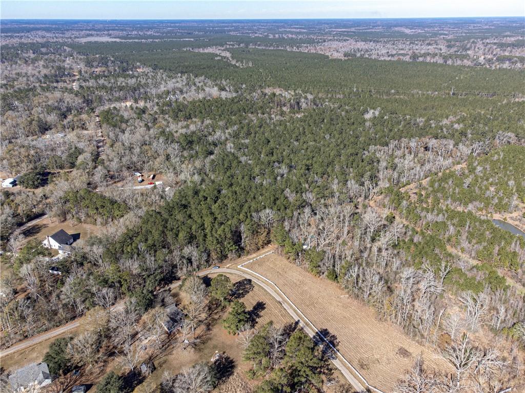 28.44 Ac John Mckigney Road, Springfield, Louisiana image 12