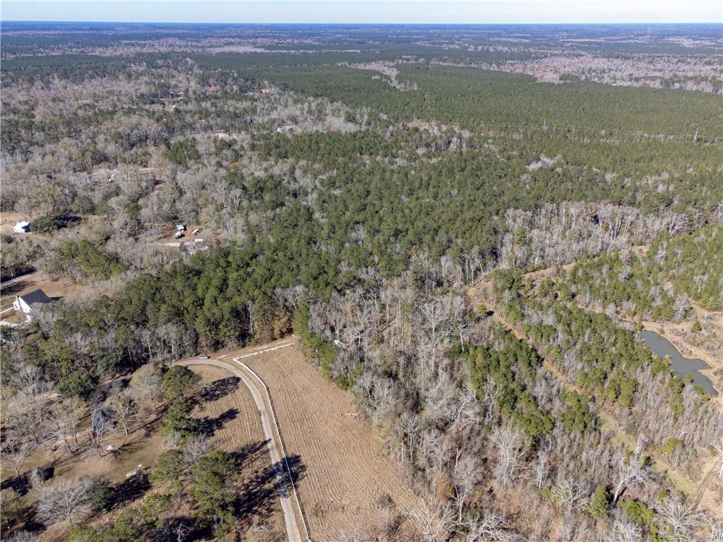 28.44 Ac John Mckigney Road, Springfield, Louisiana image 13