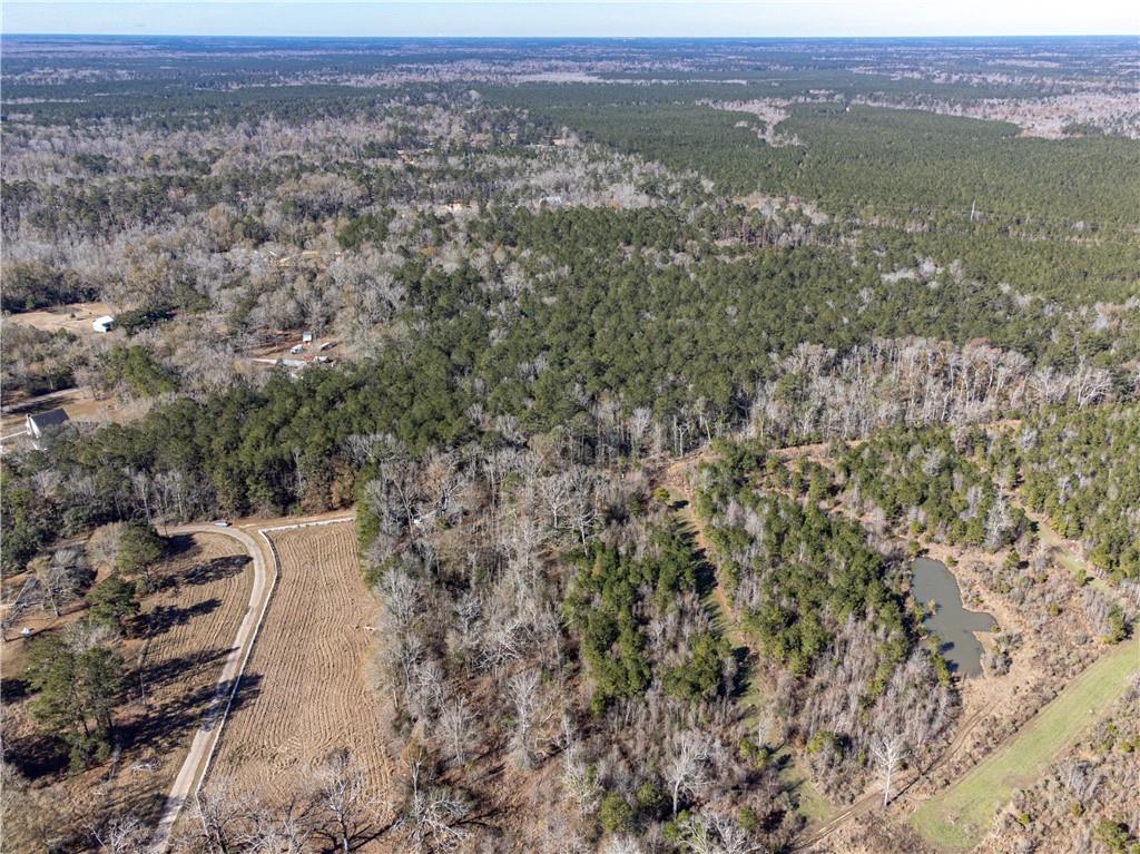 28.44 Ac John Mckigney Road, Springfield, Louisiana image 14