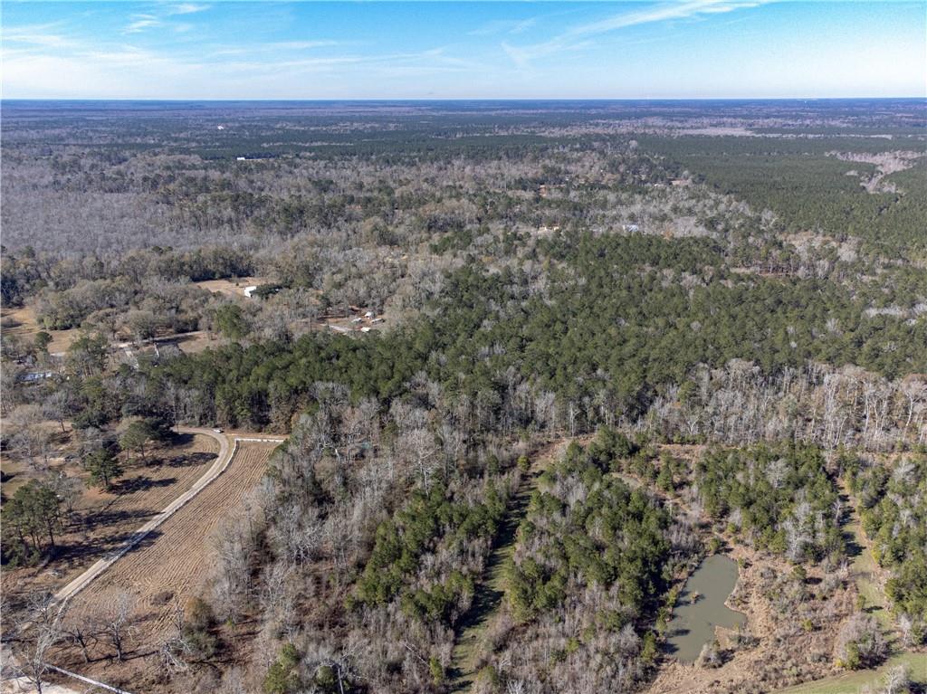 28.44 Ac John Mckigney Road, Springfield, Louisiana image 15