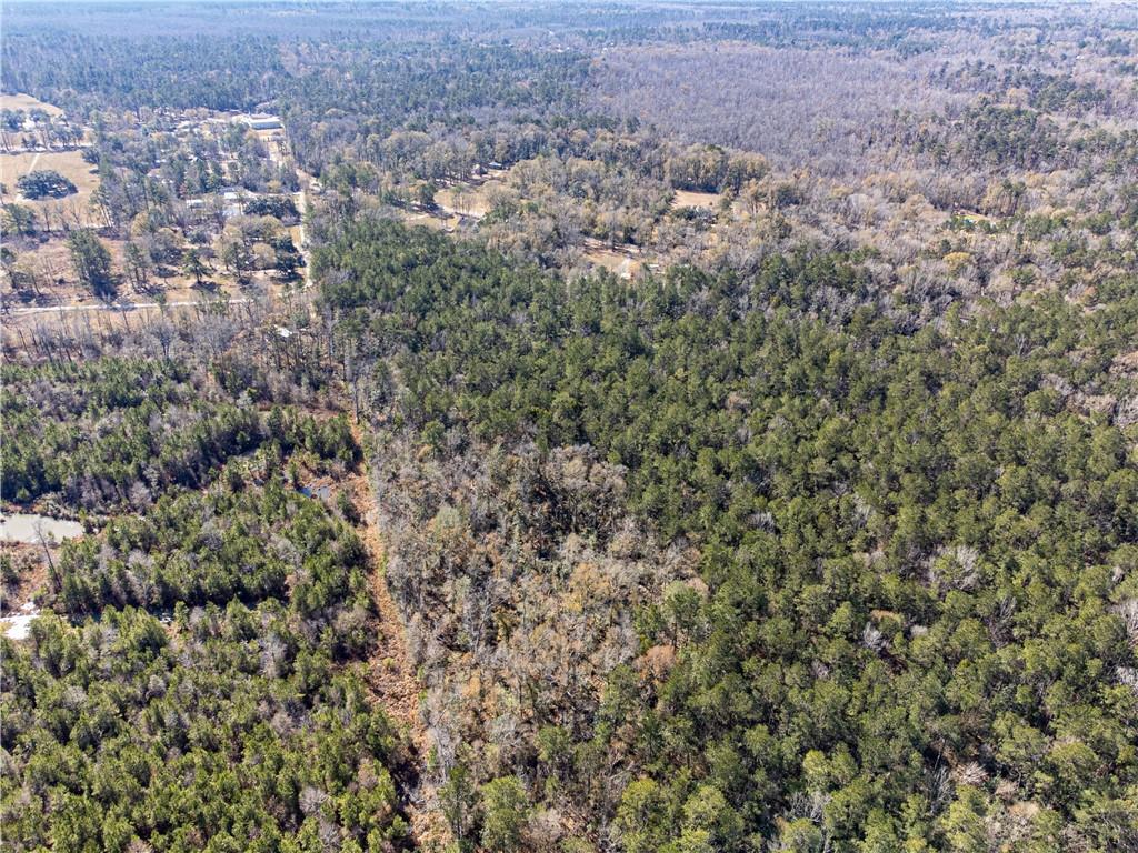 28.44 Ac John Mckigney Road, Springfield, Louisiana image 16