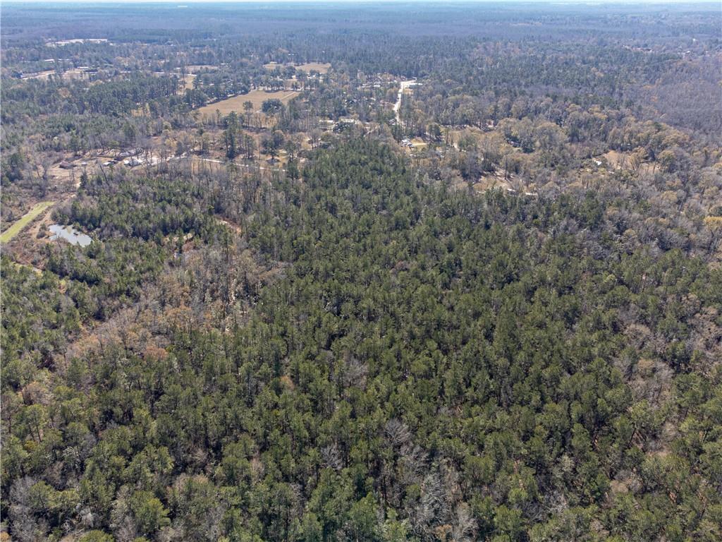 28.44 Ac John Mckigney Road, Springfield, Louisiana image 17