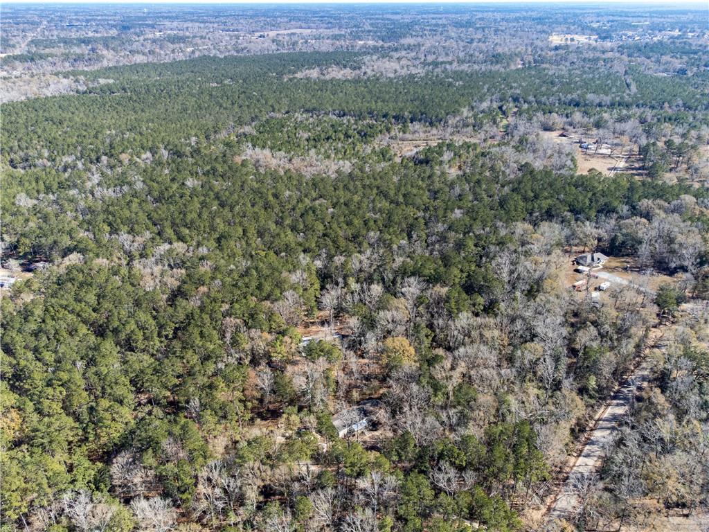 28.44 Ac John Mckigney Road, Springfield, Louisiana image 19