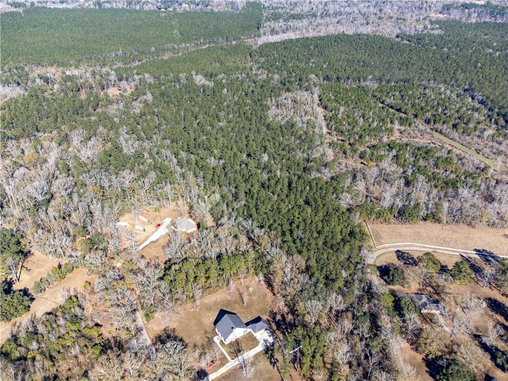 28.44 Ac John Mckigney Road, Springfield, Louisiana image 23