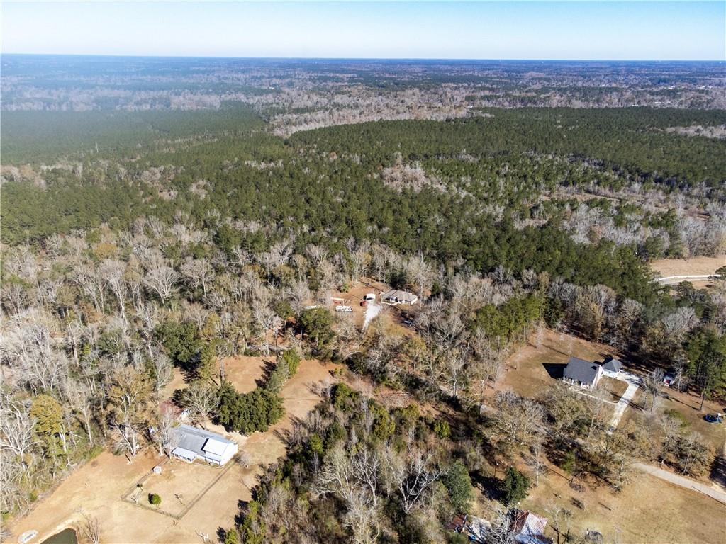 28.44 Ac John Mckigney Road, Springfield, Louisiana image 7