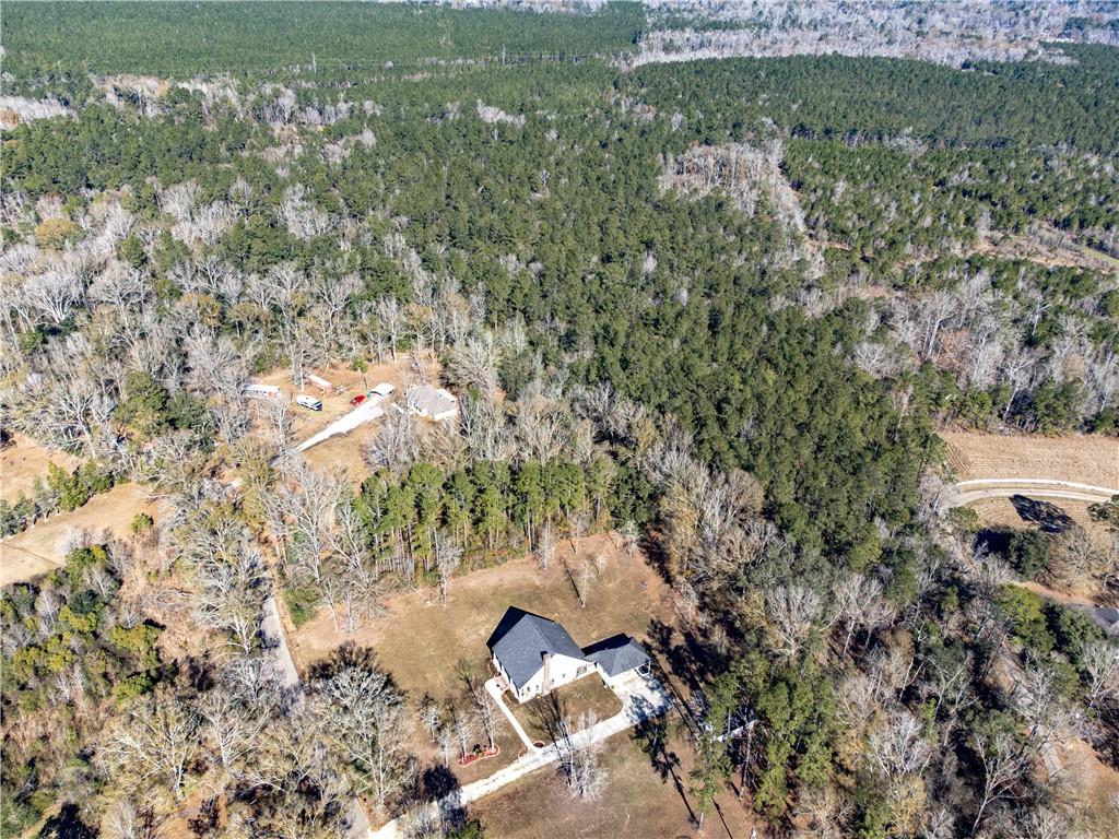 28.44 Ac John Mckigney Road, Springfield, Louisiana image 8