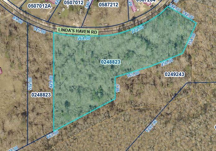 7 Acres Of Vacant Land Lindas Haven Road, Springfield, Louisiana image 4