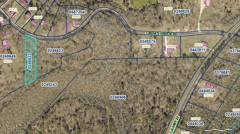 7 Acres Of Vacant Land Lindas Haven Road, Springfield, Louisiana image 5