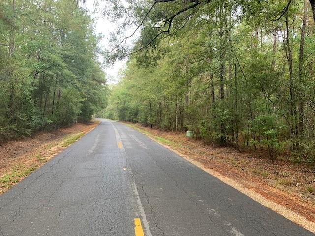 Traino Road, Ponchatoula, Louisiana image 1