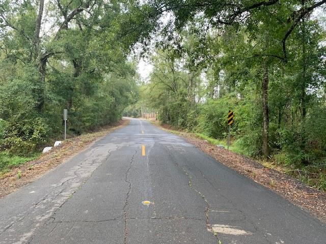 Traino Road, Ponchatoula, Louisiana image 2