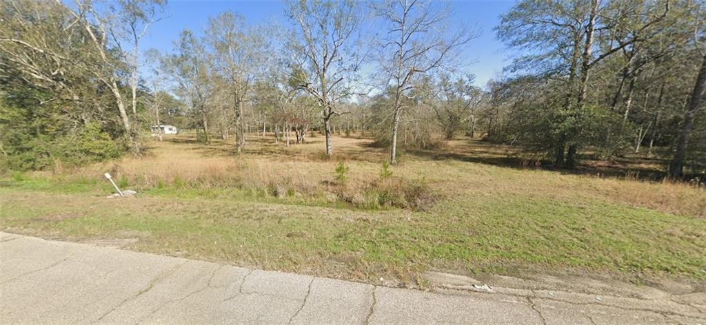 70132 41 Highway, Pearl River, Louisiana image 1