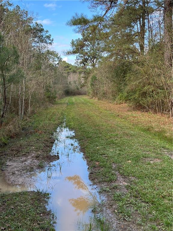 16393 Wardline Road, Covington, Louisiana image 2
