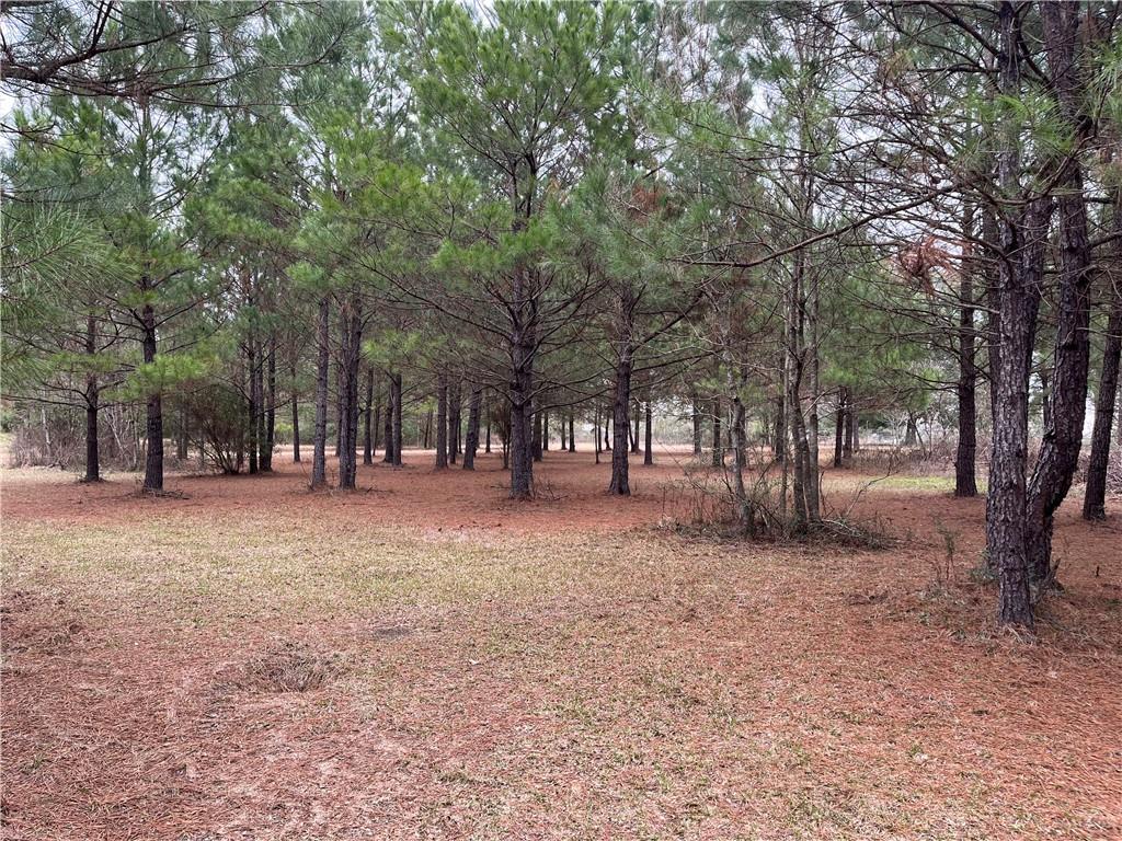 16393 Wardline Road, Covington, Louisiana image 3