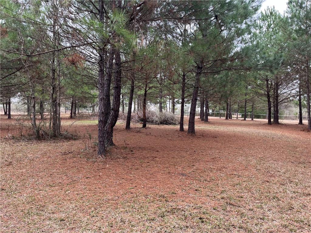 16393 Wardline Road, Covington, Louisiana image 4