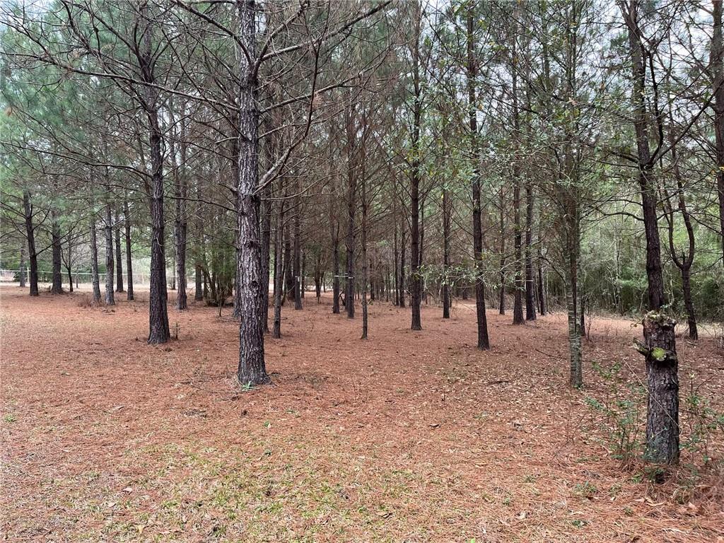 16393 Wardline Road, Covington, Louisiana image 5
