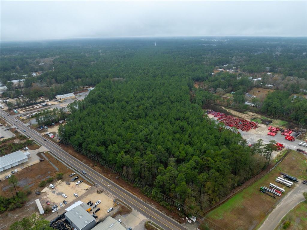 Highway 59 Highway, Abita Springs, Louisiana image 2