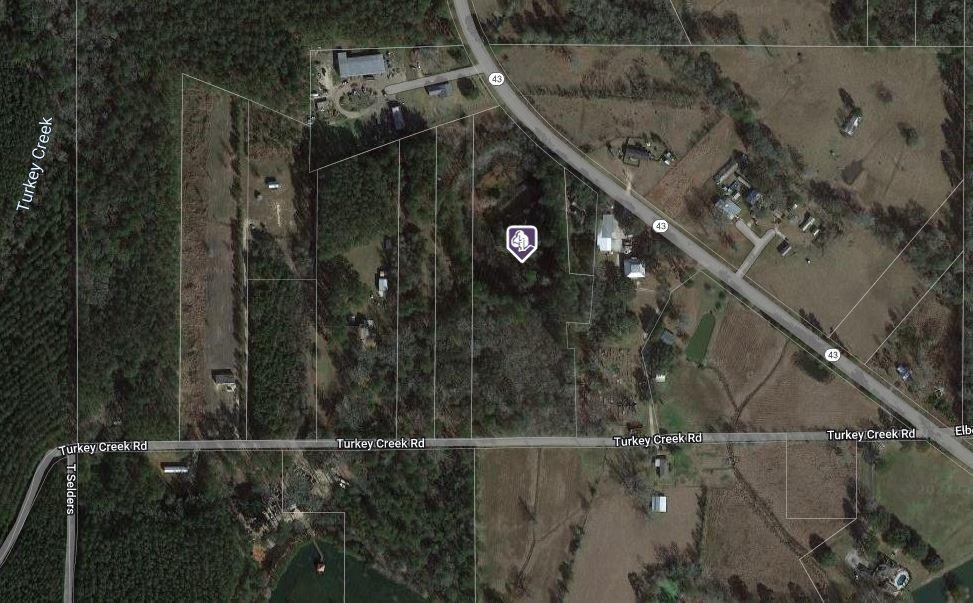 8.19 Acres Turkey Creek Road, Independence, Louisiana image 1