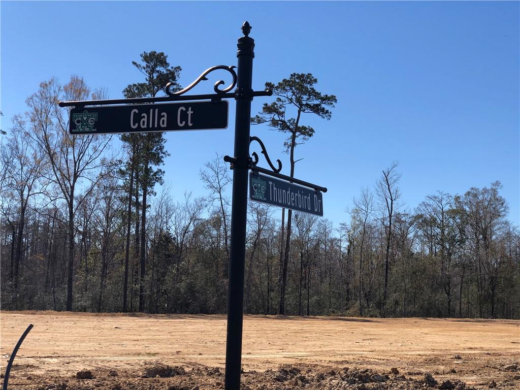 6 Calla Court, Covington, Louisiana image 2