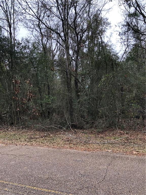 Lot 27 Chenel Street, Folsom, Louisiana image 2