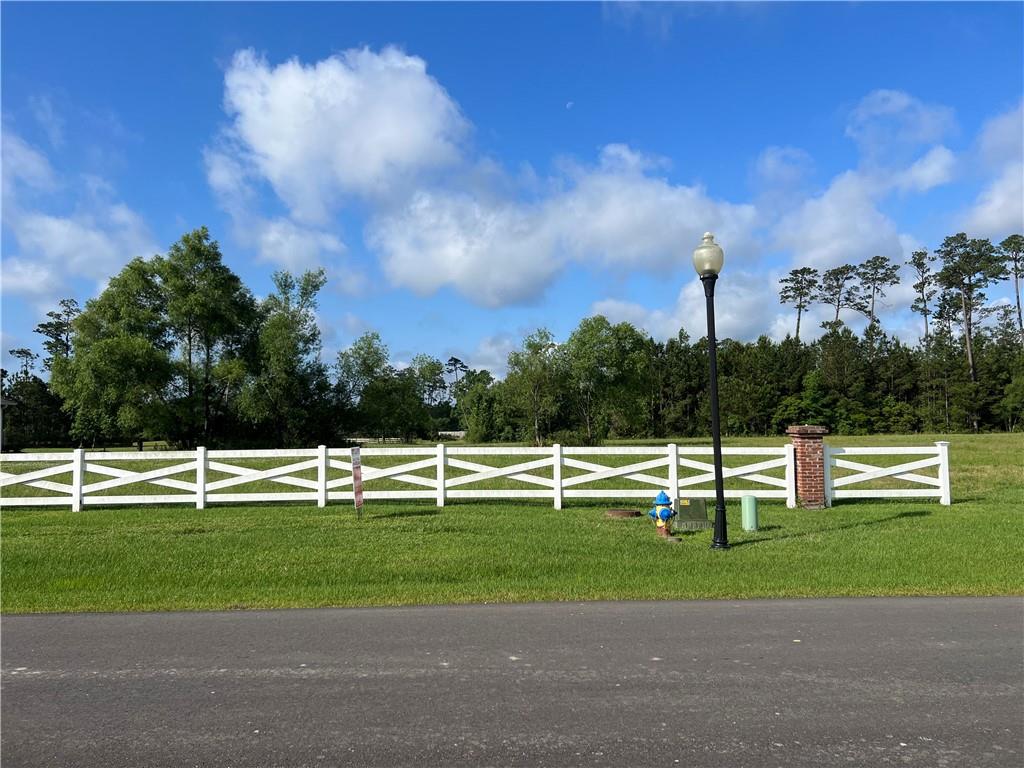 439 Bedico (lot #217). Parkway, Madisonville, Louisiana image 3