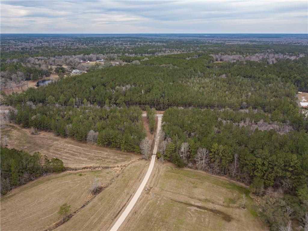 La 21 Highway, Bush, Louisiana image 14