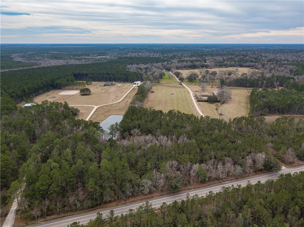 La 21 Highway, Bush, Louisiana image 7