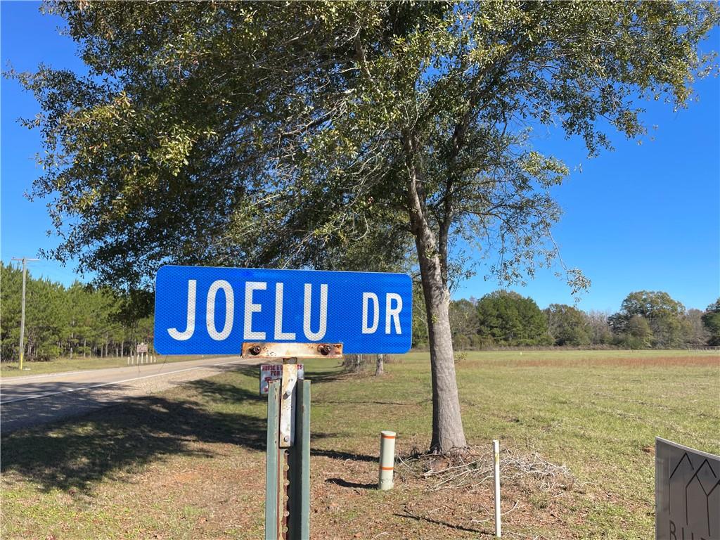 Lot 13 Joelu Drive, Franklinton, Louisiana image 1