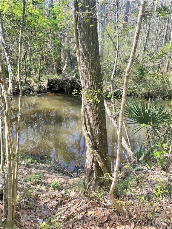 Hardy Drive, Covington, Louisiana image 8