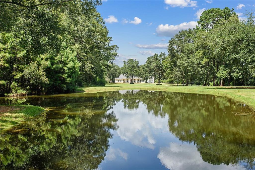 As you enter this idyllic setting of over 11 acres w/ private gates, you go past a stocked pond & through a wonderful balance of open & wooded areas of oaks, hardwoods & fruit trees to a new classic southern home built w/ beautiful materials. All rooms over look the pool & the magnificent grounds w/ a grand workshop fit for a king nestled behind a grove of Oaks. The carriage house now attached to the main home has been converted to modern living & has bedrooms up w/ a huge recreation room w/ kitchen down.