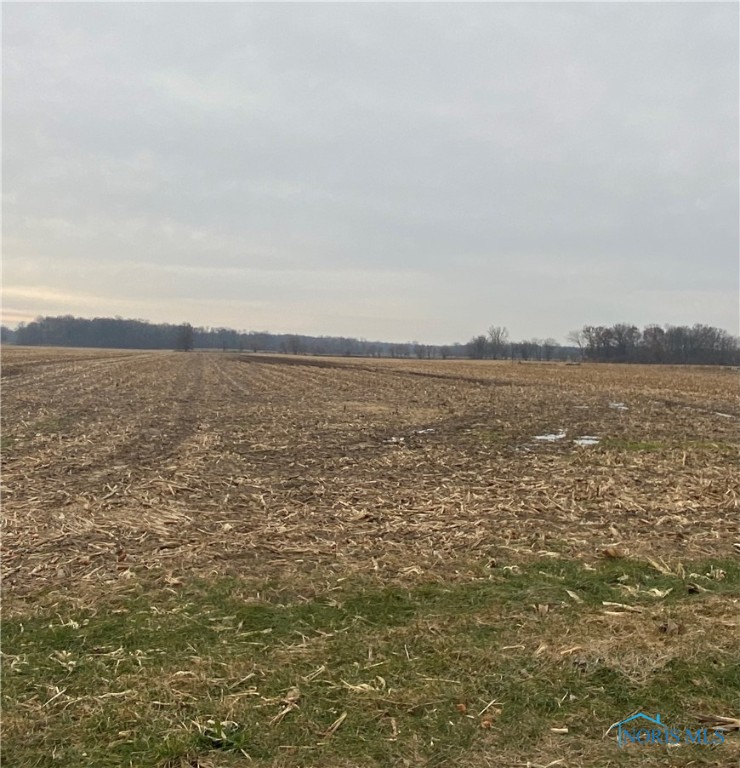 Listing Details for 0 County Road 10-3 Road, Delta, OH 43515
