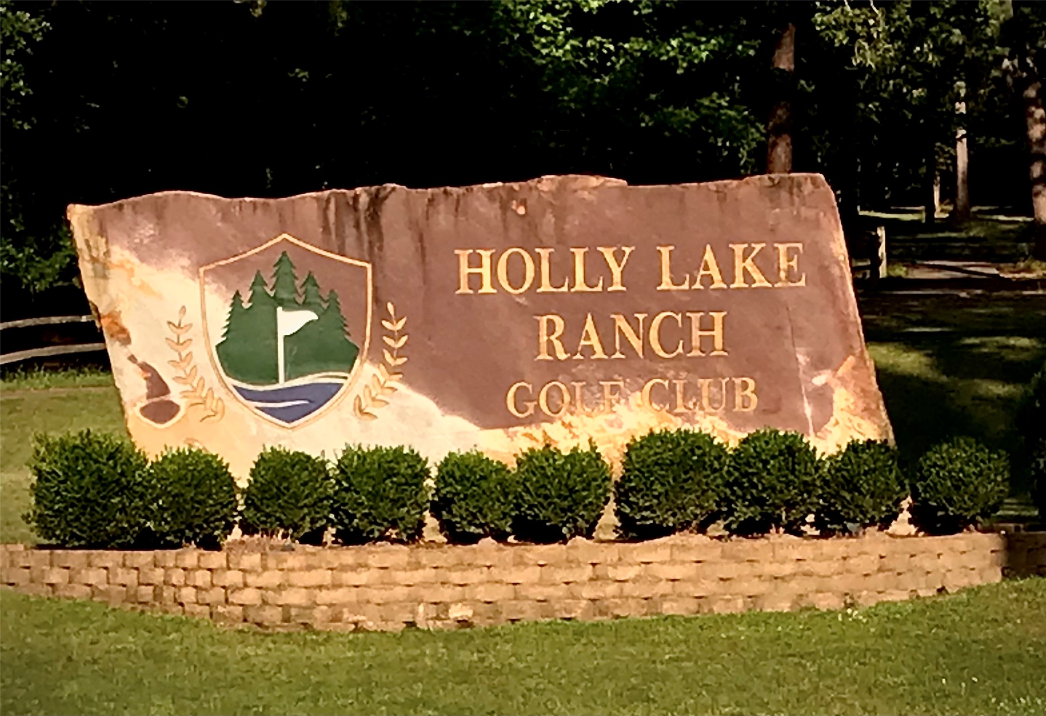 223 Old Barn Lane  Lane Holly Lake Ranch TX 75765